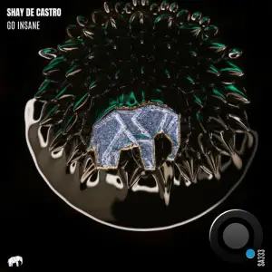 Shay De Castro - Go Insane (2025)