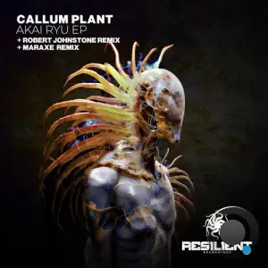 Callum Plant - AKAI RYU (2025)