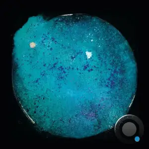 PETRU KSS - Kolibri Live Part 1 (2025)