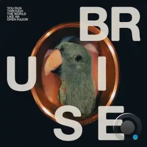 Bruise Blood - You Run Through the World Like An Open Razor (2025)