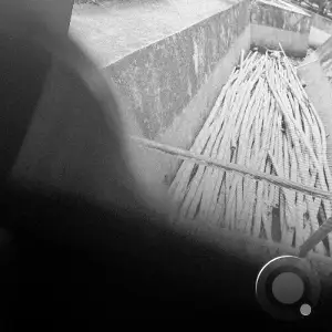 Elite Decay - No Hospitals, Just Pills (2025)