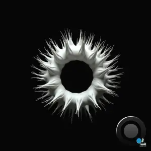 Geerk - Better Run & Walls (2025)