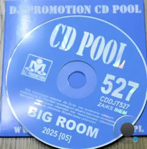 DJ Promotion CD Pool Big Room 527 (2025)