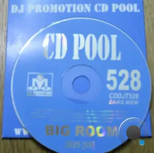 DJ Promotion CD Pool Big Room 528 (2025)