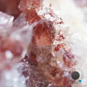 Not Operated - Singularity (2025)