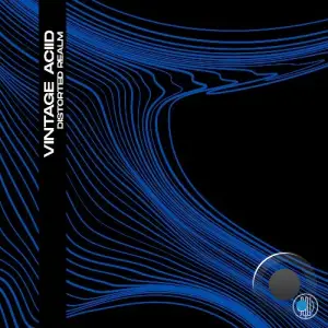 Vintage Aciid - Distorted Realm (2025)