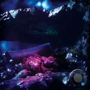 Stenny - Sharp Fragments (2025)