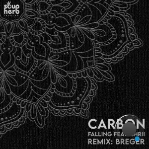 Carbon feat. Shrii - Falling (2025)