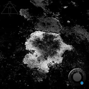 Hugo Mesi - Spicy Baked Lentil (2025)