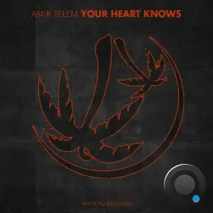 Amir Telem - Your Heart Knows (2025)