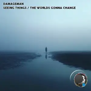 Damageman - Seeing Things / The Worlds Gonna Change (2025)