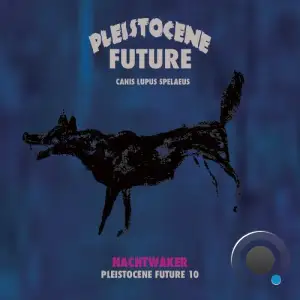 Nachtwaker - Pleistocene Future 10 (2025)