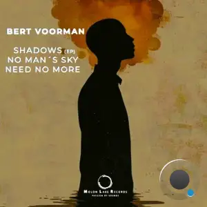 Bert Voorman - Shadows (2025)