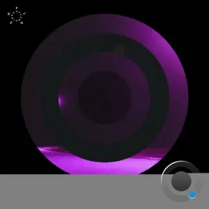 Gina Demarchi - Veil (2025)