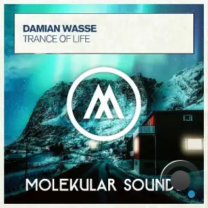Damian Wasse - Trance Of Life (2025)