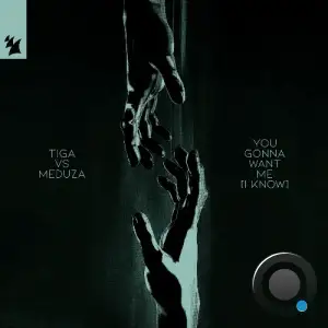 Tiga Vs Meduza - You Gonna Want Me (I Know) (2025)