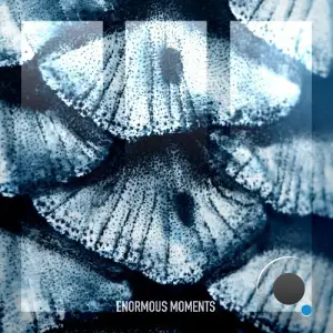 Bar Shaked - No Name (2025)