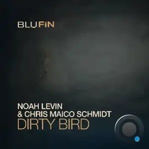 Noah Levin & Chris Maico Schmidt - Dirty Bird (2025)