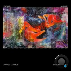 Bicep - CHROMA 000 (2025)