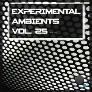 Experimental Ambients, Vol. 25 (2025)
