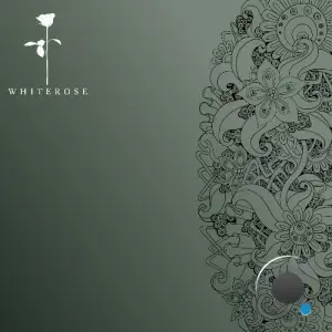 Pablo Goyesi - Feel You (2025)