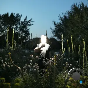 Ruede Hagelstein - Disappeared (2025)