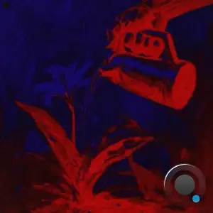 Hidden Renaissance - Peace of Acceptance (2025)