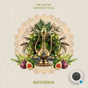 Nik Baster - Nomadic Pulse (2025)