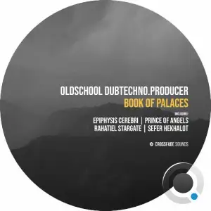 Oldschool Dubtechno .Producer - Book of Palaces (2025)