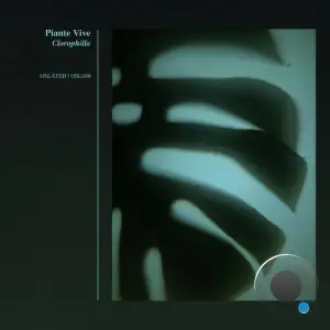 Piante Vive - Clorophilla (2025)