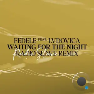 Fedele feat Lvdovica - Waiting For The Night (Radio Slave Remix) (2025)
