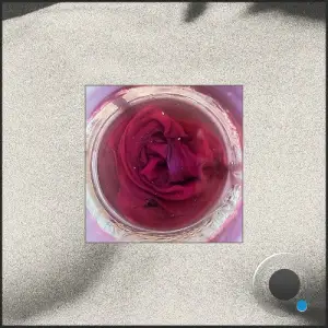 Leon Vynehall - Undo (Your Body) (2025)