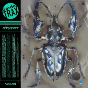 Yoikol - Lluvia Persistente (2025)