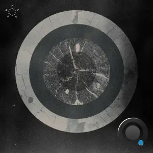 Salvatore Foglia - Matter Fields Proximity (2025)