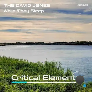 The David Jones - While They Sleep (2025)