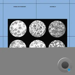 Aroma von Troisdorf - Blaumilch (2025)