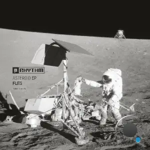 Flits - Asteroid (2025)