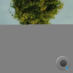 Ceas - Everything About You Makes Me Happy (2025)