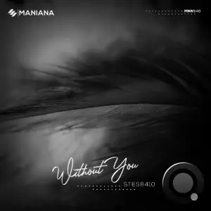 STES8410 - Without You (2025)