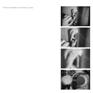 Martin Brandlmayr - Interstitial Spaces (2025)