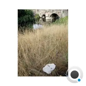 Germ Lattice - Corpusty (2025)