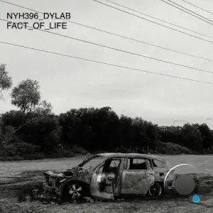 Dylab - Fact of Life (2025)