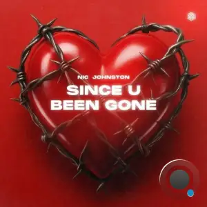 Nic Johnston - Since U Been Gone (2025)