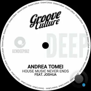 Andrea Tomei - House Music Never Ends (2025)