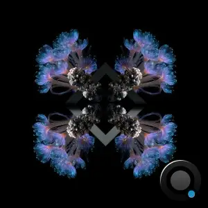 Fideles, 88Birds - 10 Breaths (2025)