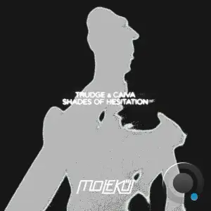 Trudge & CAIShades of Hesitation (2025)