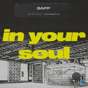 BAPP - In Your Soul (2025)