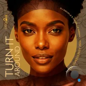 Dj Disciple x Michelle Weeks - Turn It Around (Risk Assessment Remix) (2025)