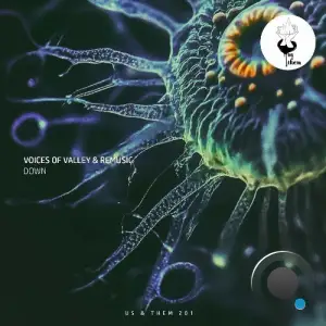 Voices of valley & Remusic - Down (2025)