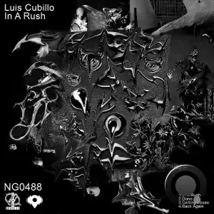 Luis Cubillo - In A Rush (2025)